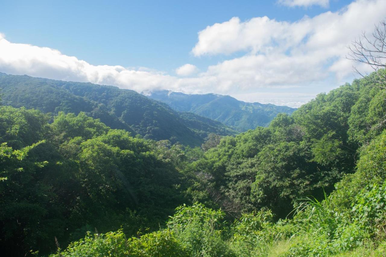 La Casa Bonita Apartman Monteverde Kültér fotó
