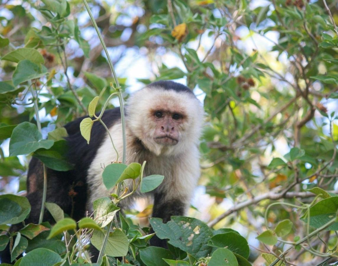 La Casa Bonita Apartman Monteverde Kültér fotó