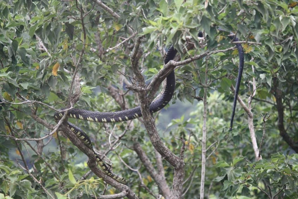 La Casa Bonita Apartman Monteverde Kültér fotó
