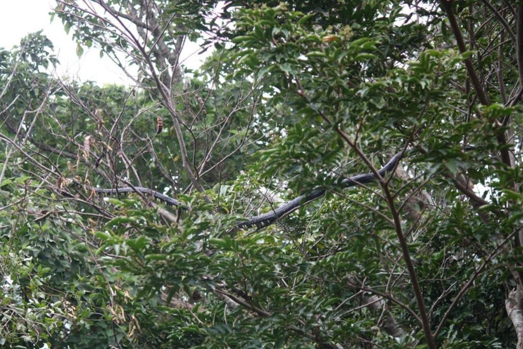 La Casa Bonita Apartman Monteverde Kültér fotó