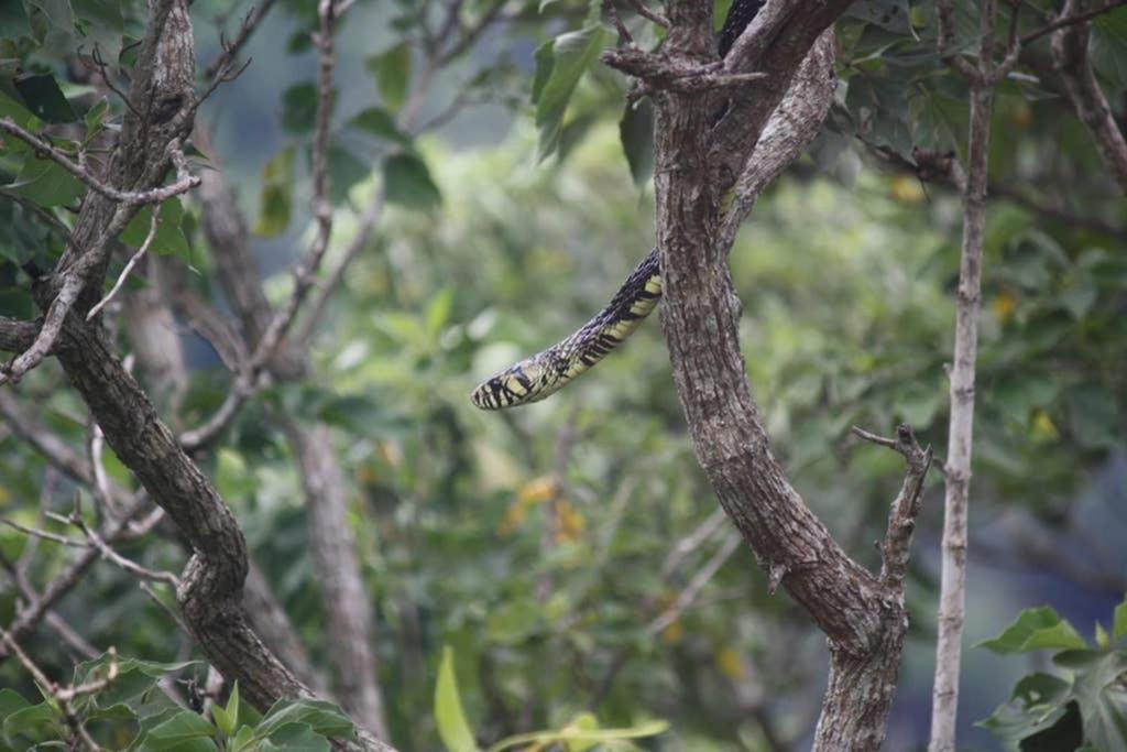 La Casa Bonita Apartman Monteverde Kültér fotó